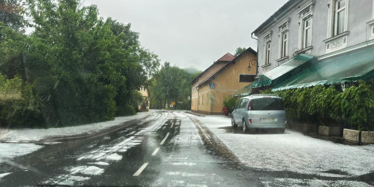 Slika članka