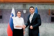 Slika članka