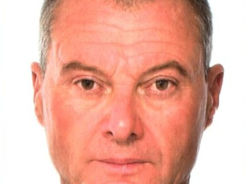 Slika članka