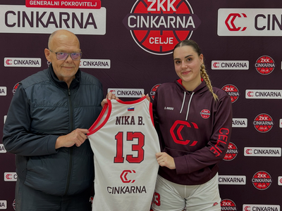 Slika članka