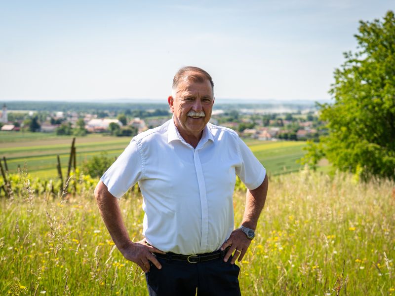 Slika članka