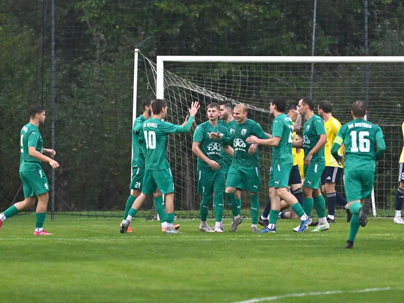 Slika članka