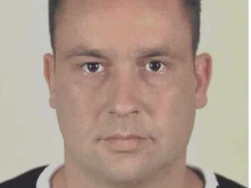 Slika članka