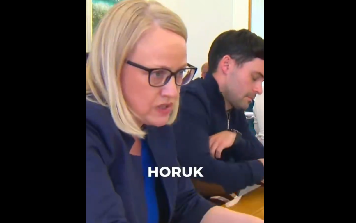Slika članka