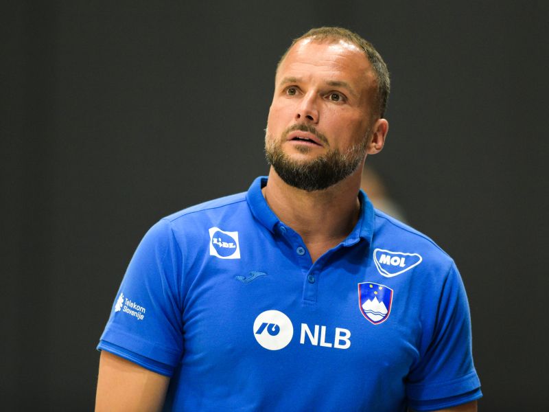 Slika članka