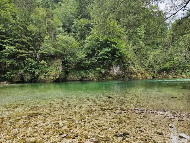 Slika članka