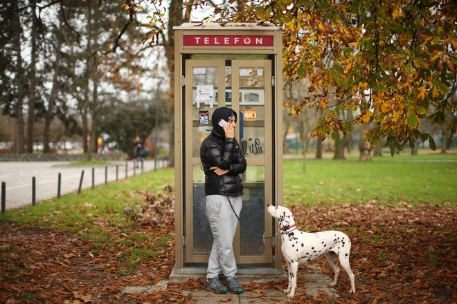 Slika članka