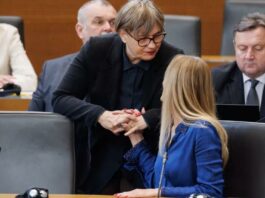 Slika članka
