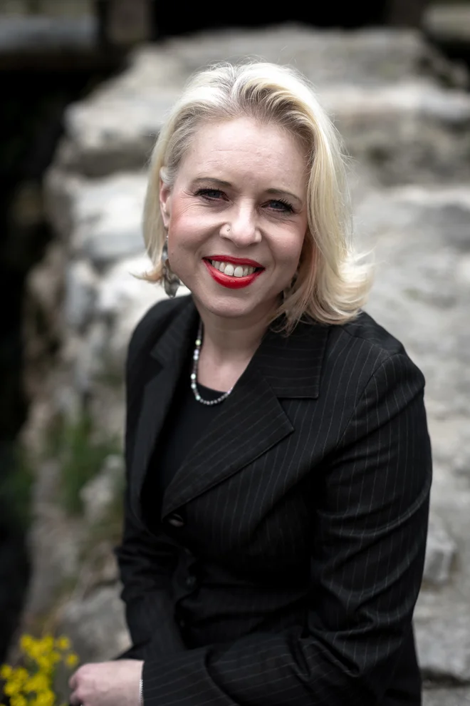 Slika članka