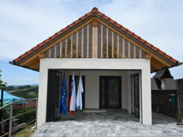 Slika članka