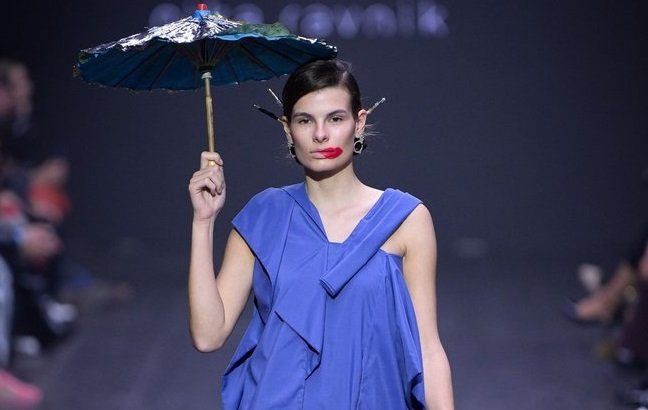 Slika članka