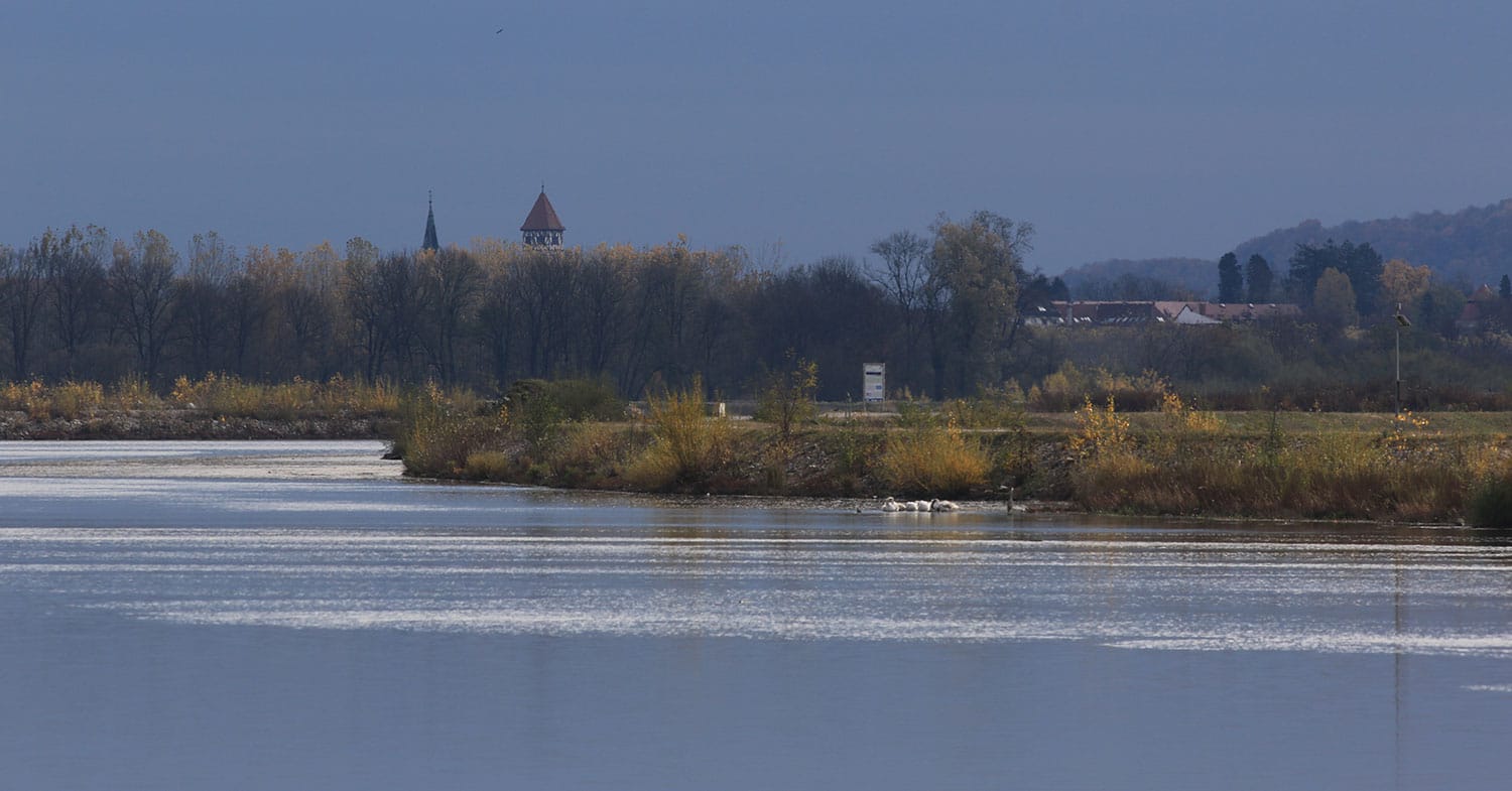 Slika članka