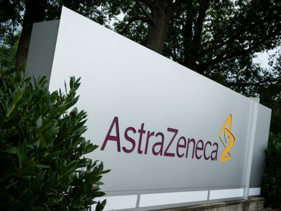 Slika članka