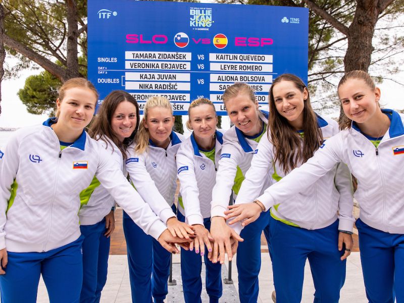 Slika članka