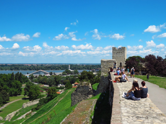 Slika članka