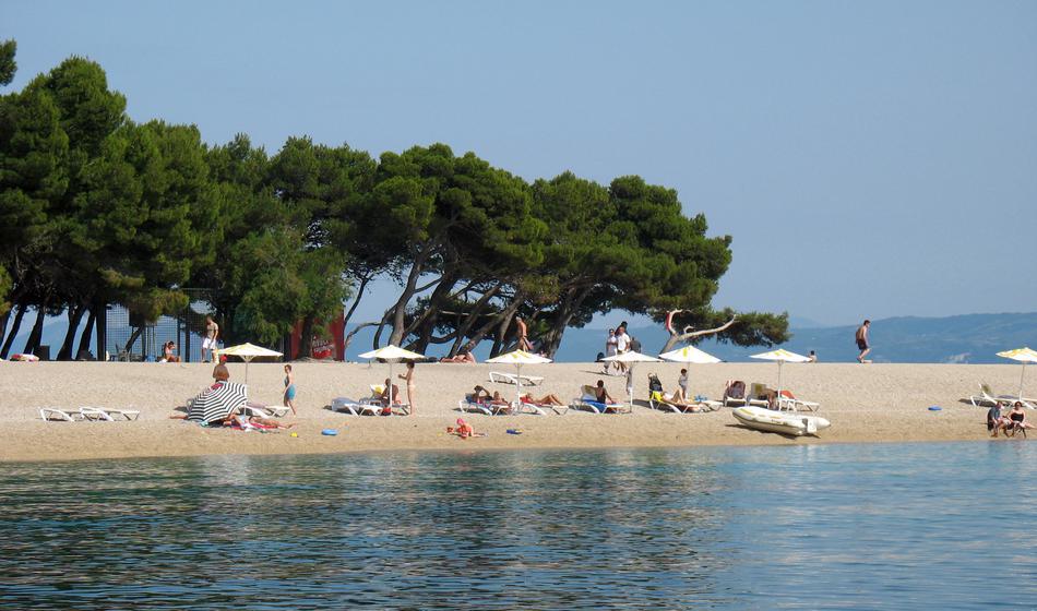 Slika članka