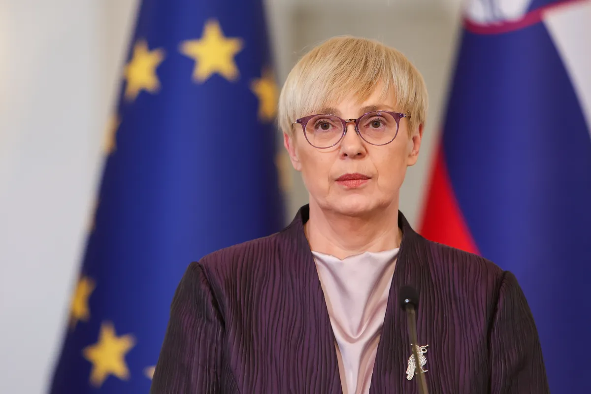 Slika članka