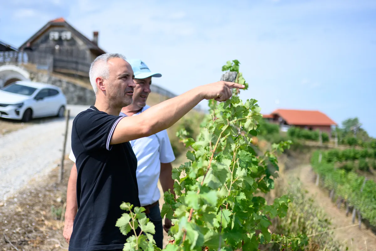 Slika članka