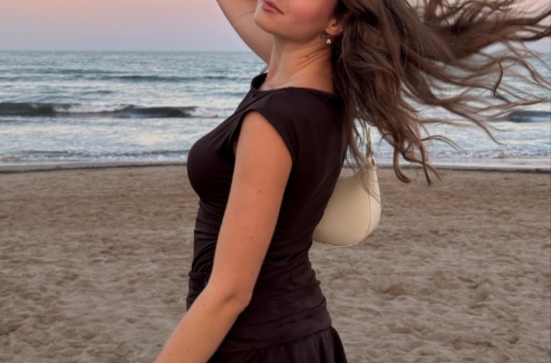 Slika članka