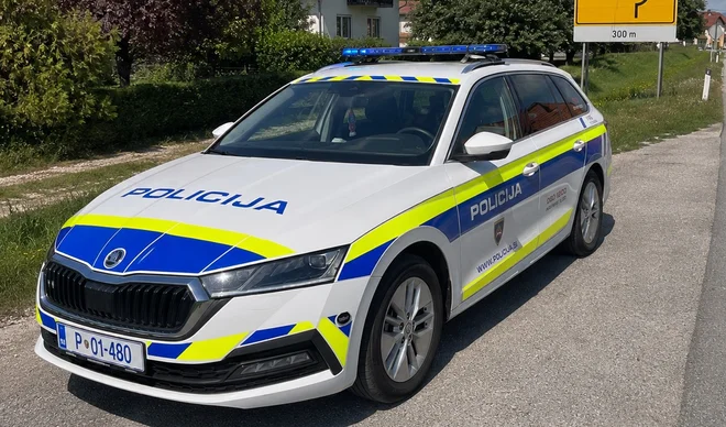 Slika članka