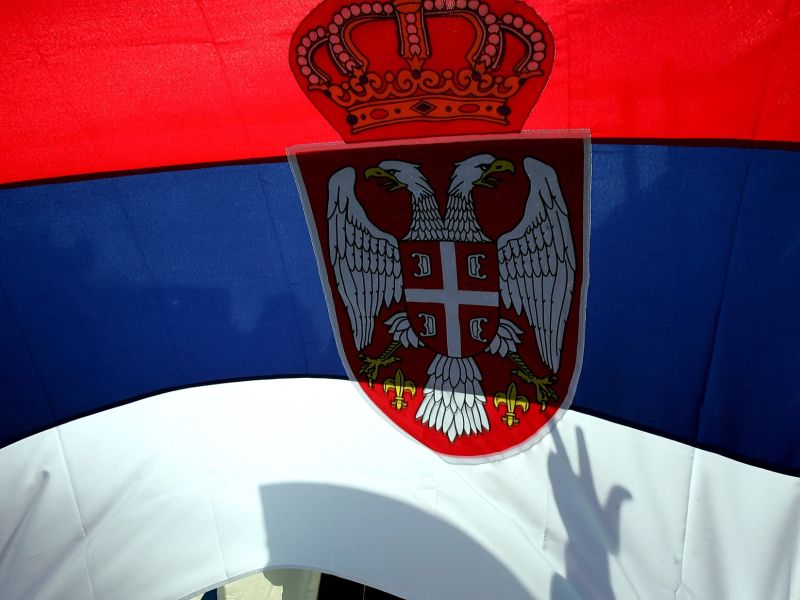 Slika članka