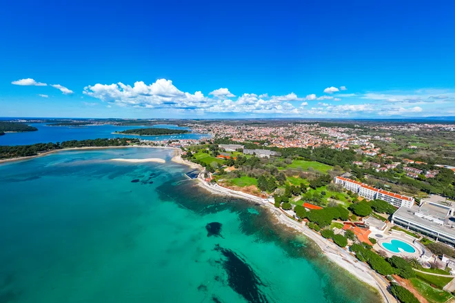 Slika članka