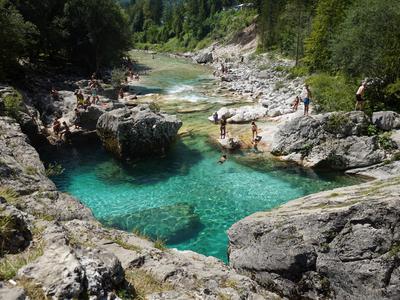 Slika članka