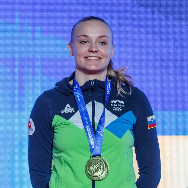 Slika članka