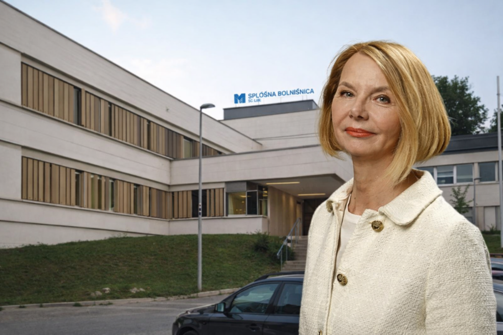 Slika članka