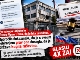 Slika članka
