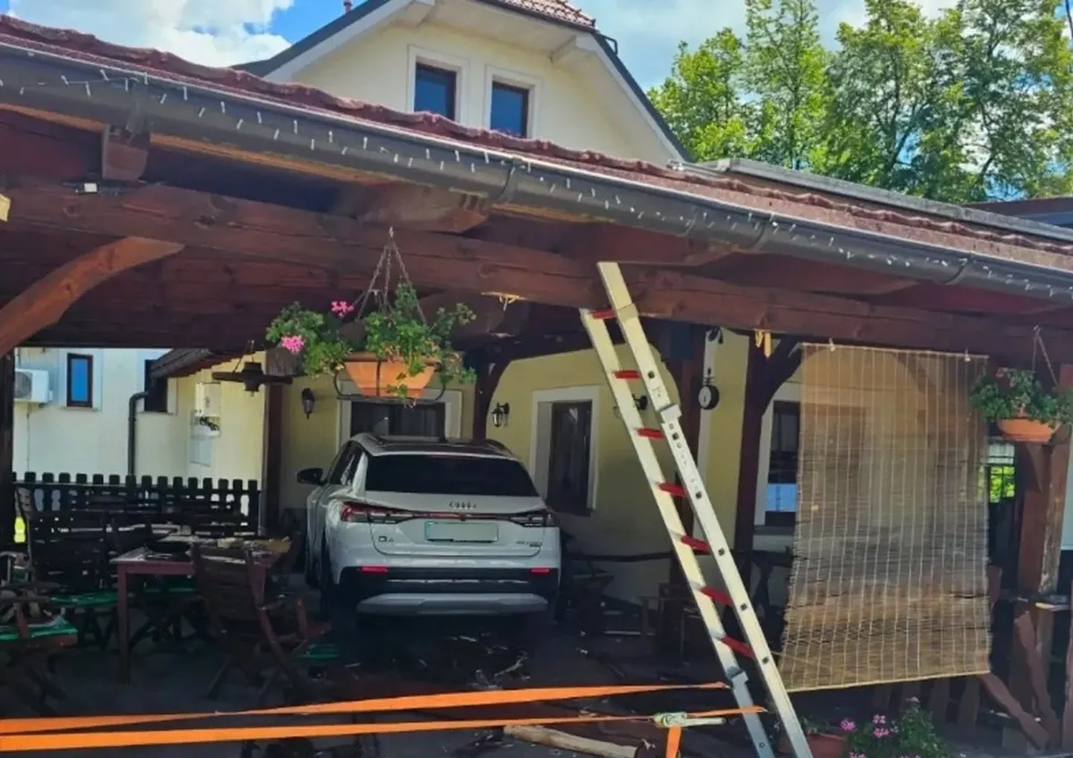 Slika članka