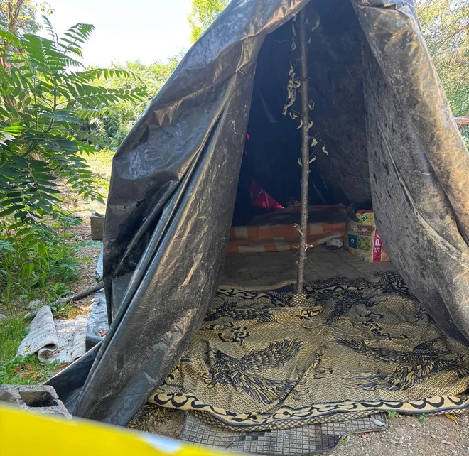Slika članka