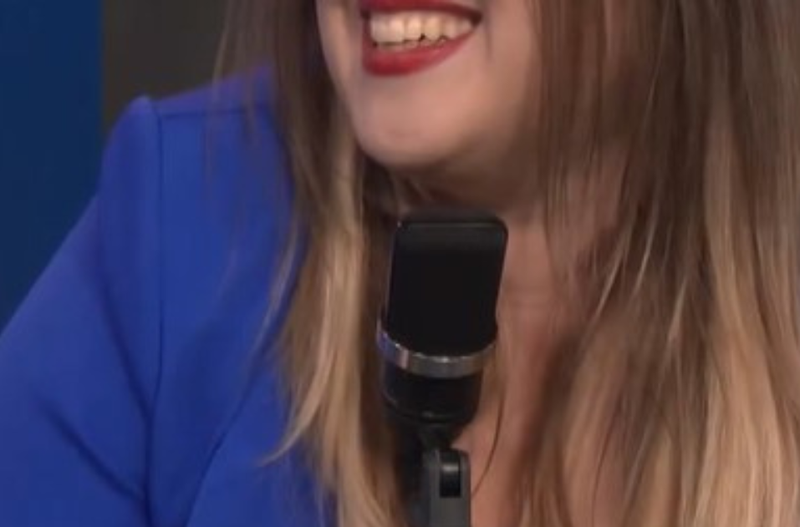 Slika članka