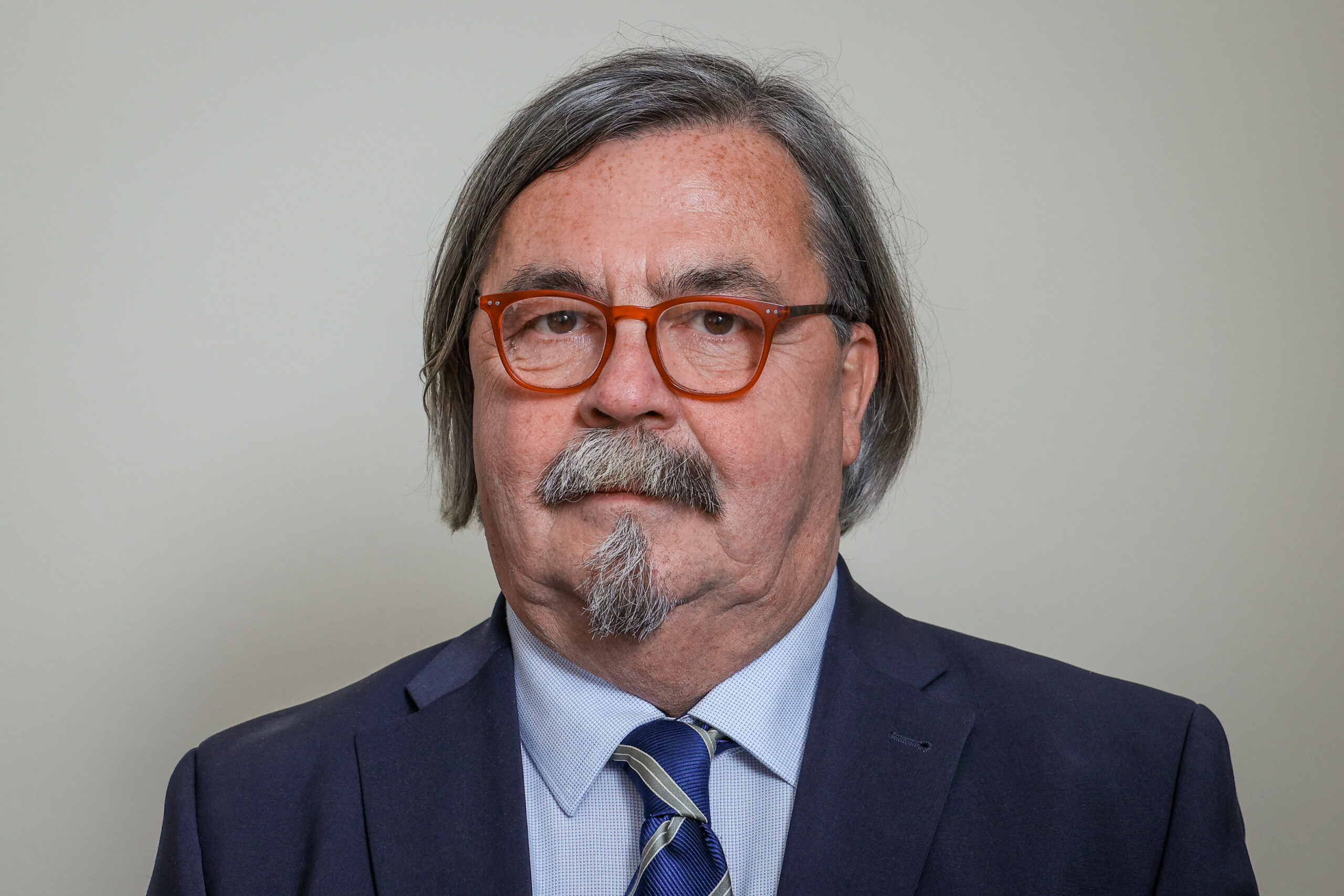 Slika članka