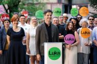 Slika članka