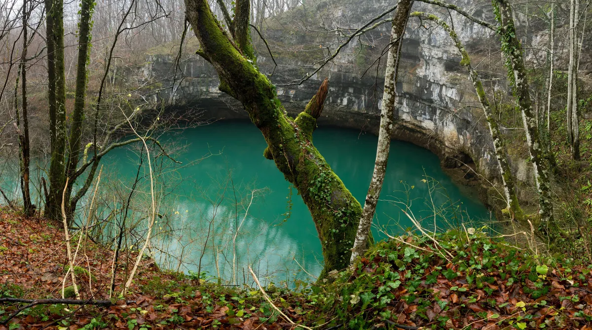 Slika članka