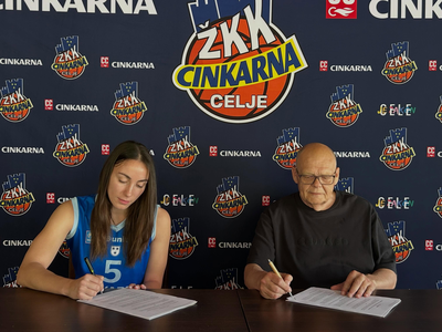 Slika članka