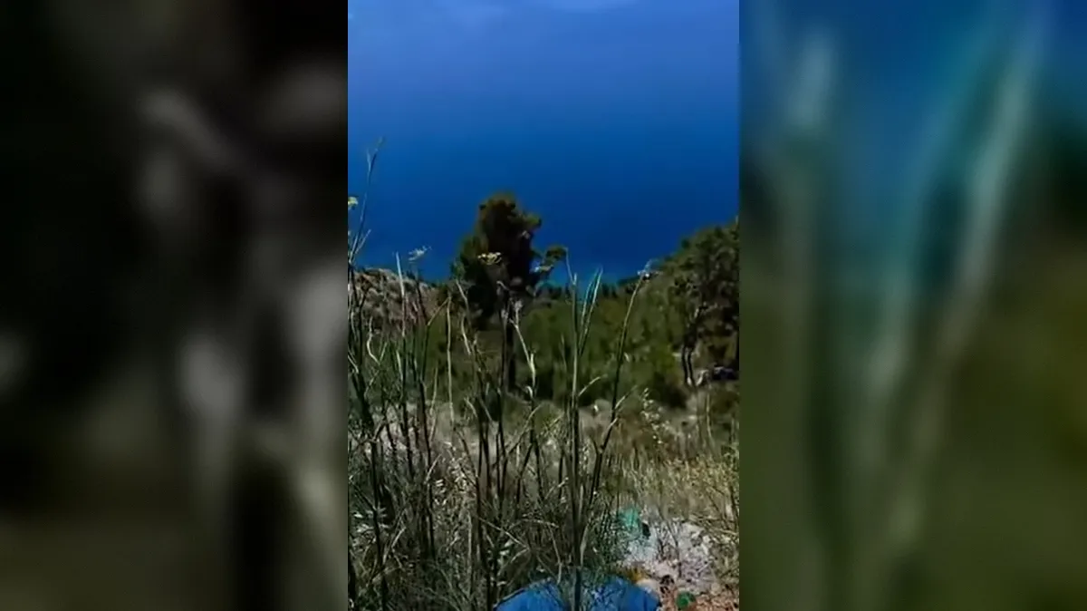 Slika članka