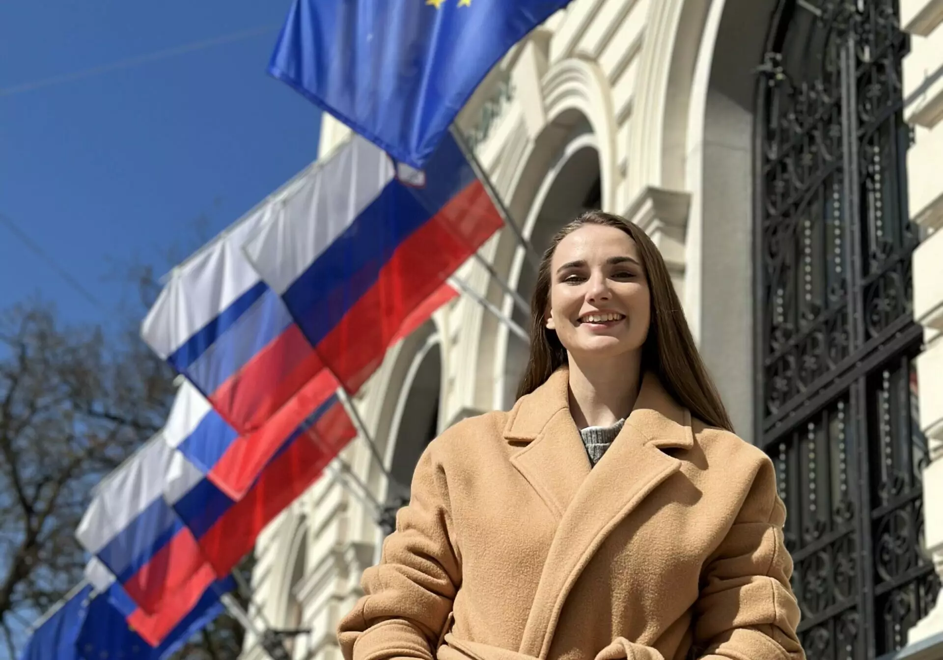 Slika članka