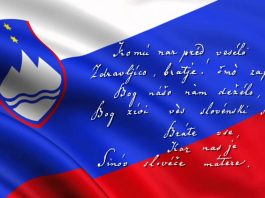 Slika članka