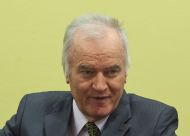 Slika članka