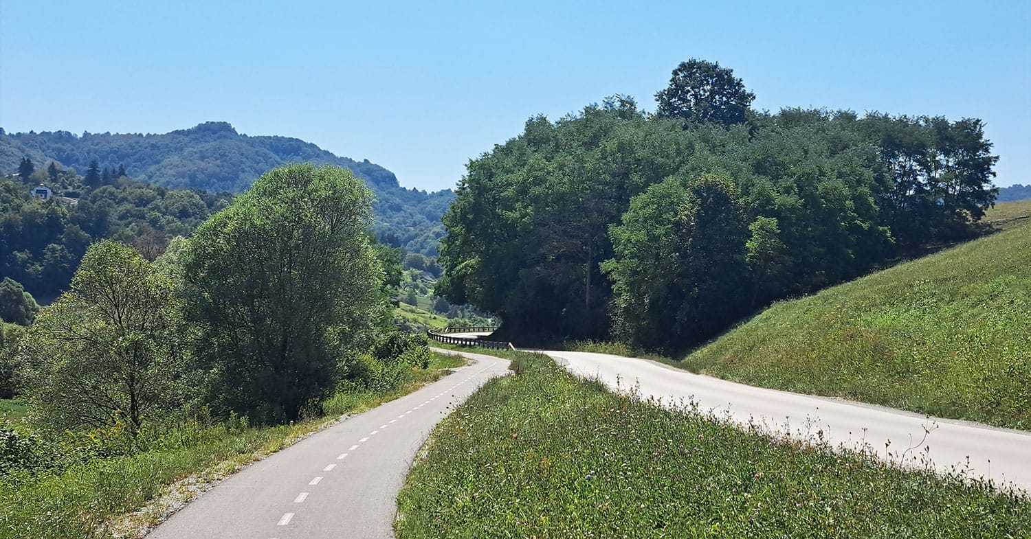 Slika članka