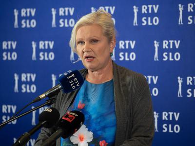 Slika članka