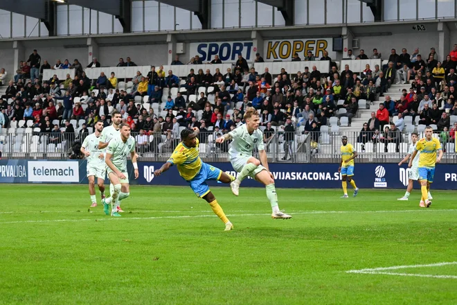 Slika članka