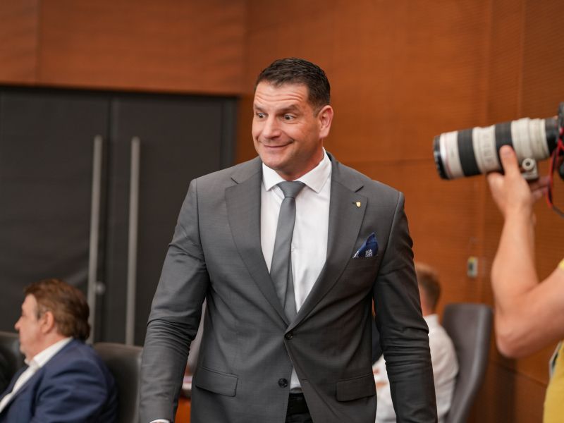 Slika članka