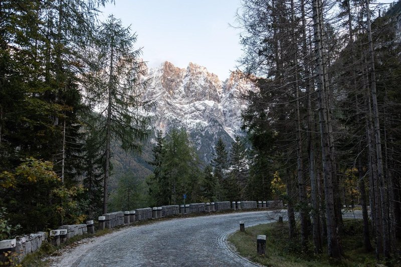 Slika članka