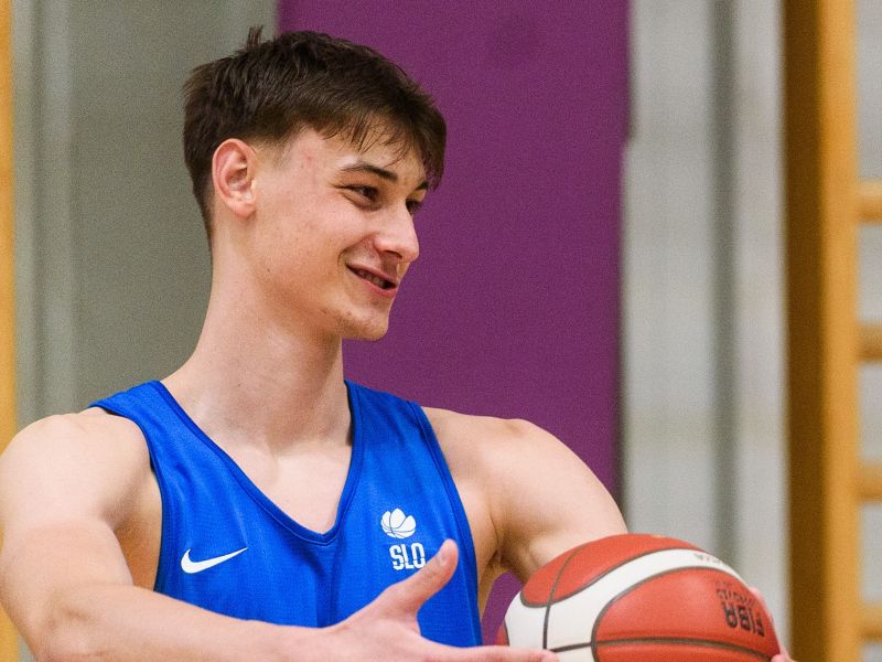 Slika članka
