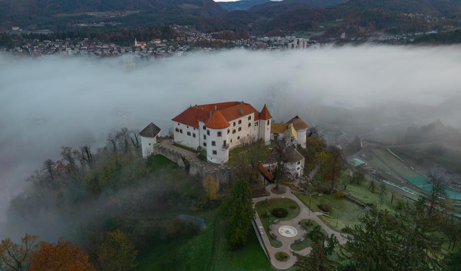 Slika članka