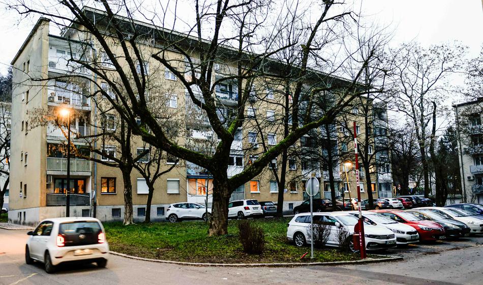 Slika članka