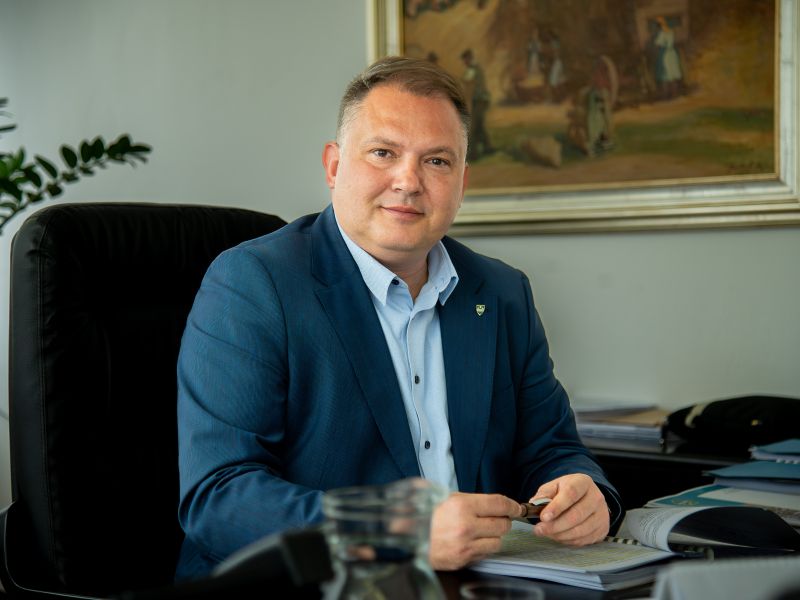 Slika članka